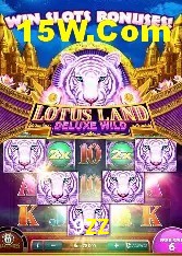 Casino Ao Vivo 9ZZ